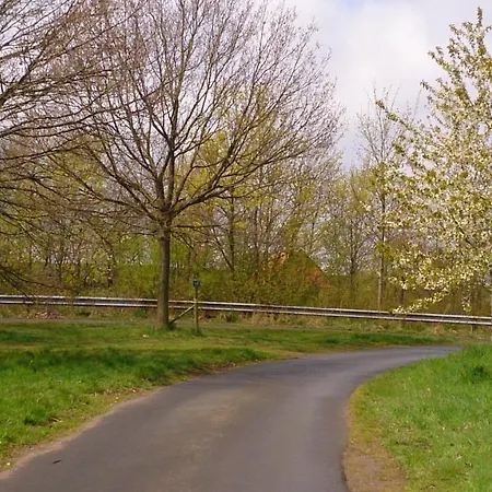 Hotel Waldecker Taverne *