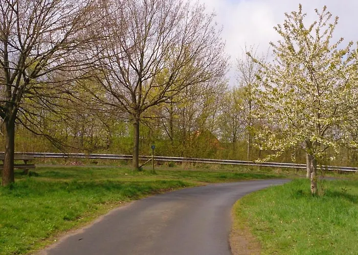 酒店 Waldecker Taverne *